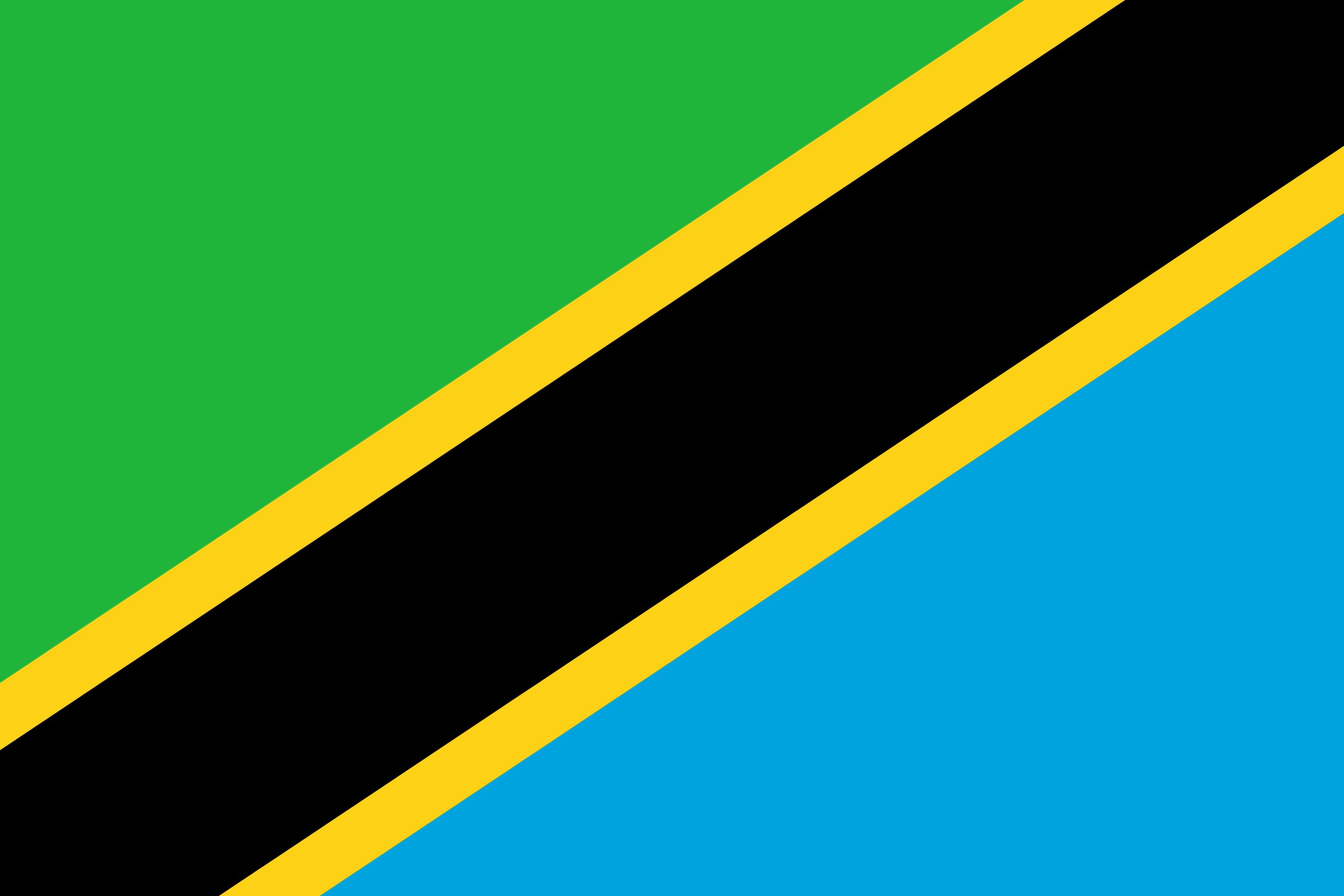 Tanzania Flag